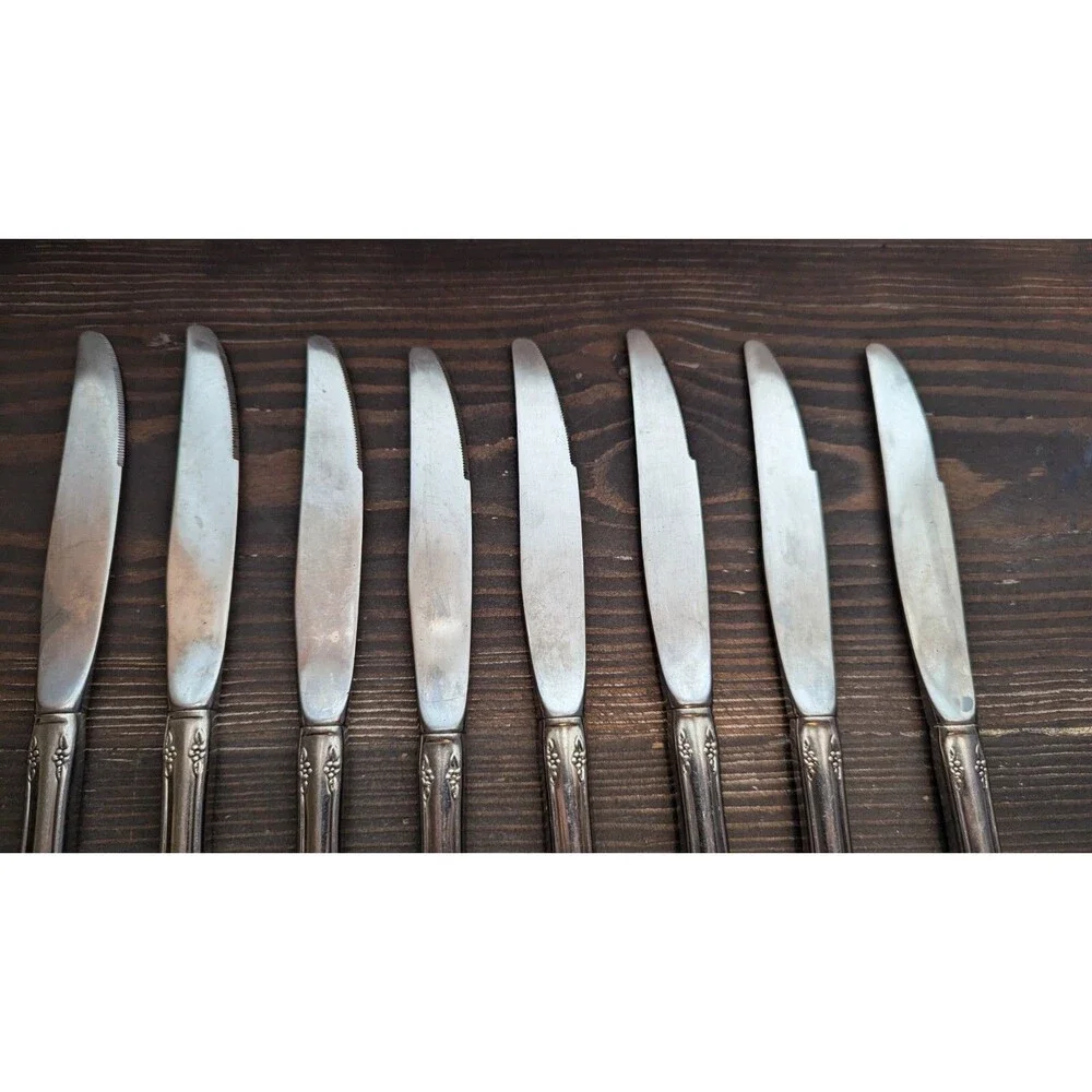 WM A Rogers Deluxe Oneida Ltd Mansfield Amadeus Stainless 19 Random Piece Set